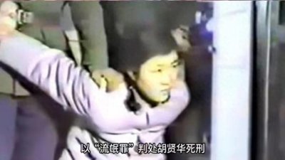 ​1983年“严打”（即严厉打击刑事犯罪活动）有多方面的起因：