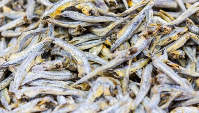 ​金线鱼的营养价值及功效