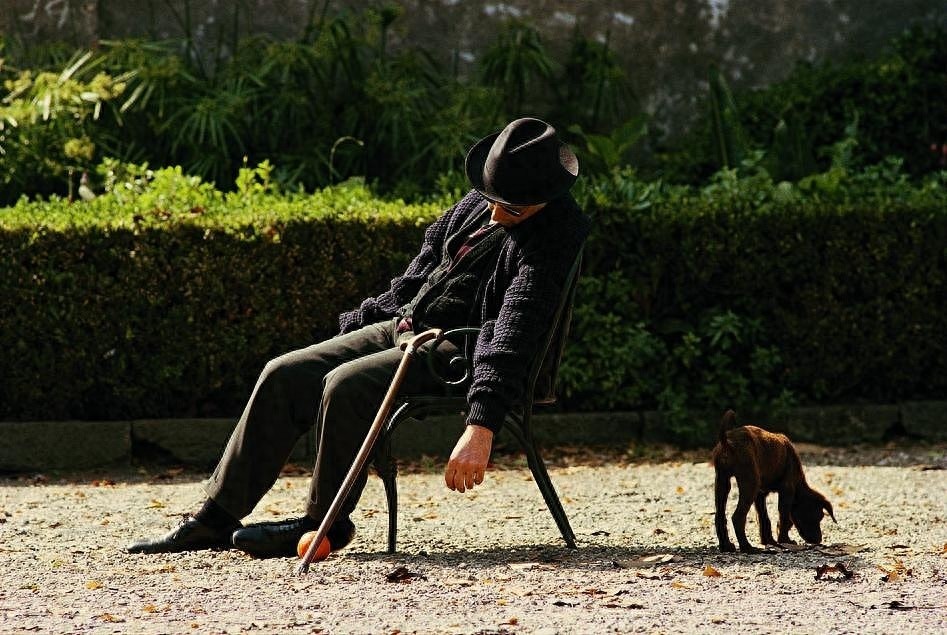 深度解读《教父3》:酸甜苦辣都尝遍的一生,是精彩的一生