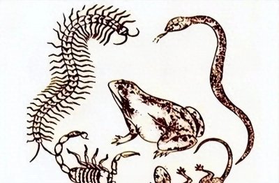 ​真的有人会“下蛊”吗？蛊虫是真实存在的吗？