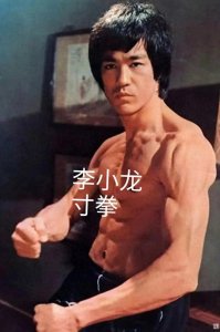 ​传统武术之寸拳