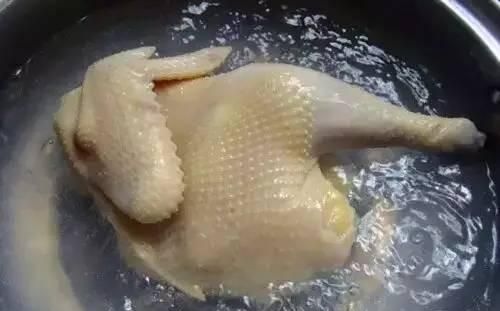 鸡肉如何去腥,鸡汤如何去腥?图3