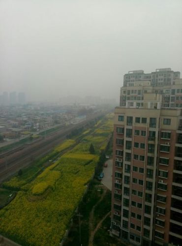 许昌市魏都区邮编号码多少(许昌市魏都区邮编查询)-第1张图片-