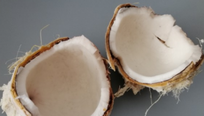 ​新鲜的椰子肉能生吃,椰肉能生吃吗