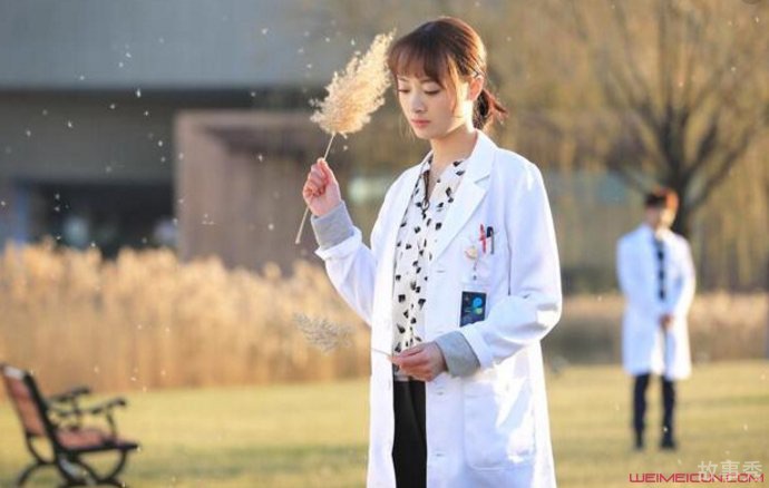 网络图片(侵删)