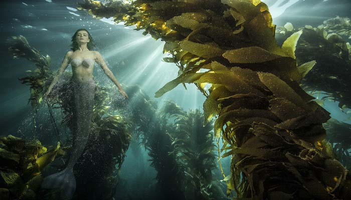 美人鱼的故事 美人鱼童话故事原版