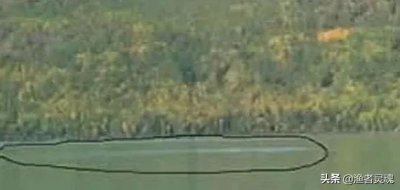 ​喀纳斯湖124米巨型哲罗鲑是真的吗（哲罗鲑真长这么大吗）