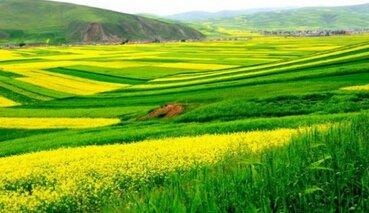 适合农村在家妇女的创业：农村的妇女在家干什么活比较挣钱？