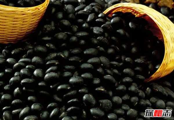 男人吃什么补身体?男人养肾最佳10食物