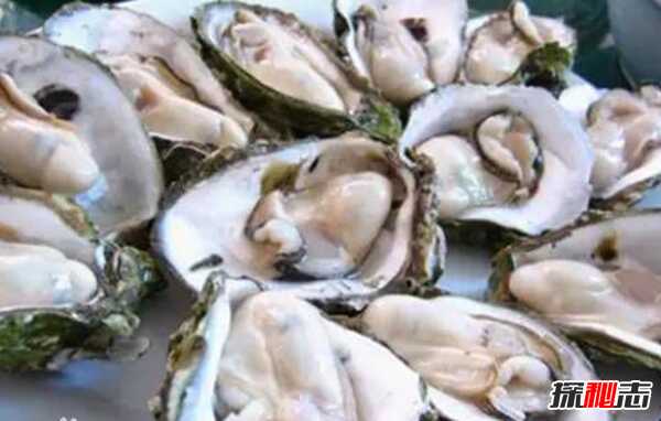 男人吃什么补身体?男人养肾最佳10食物