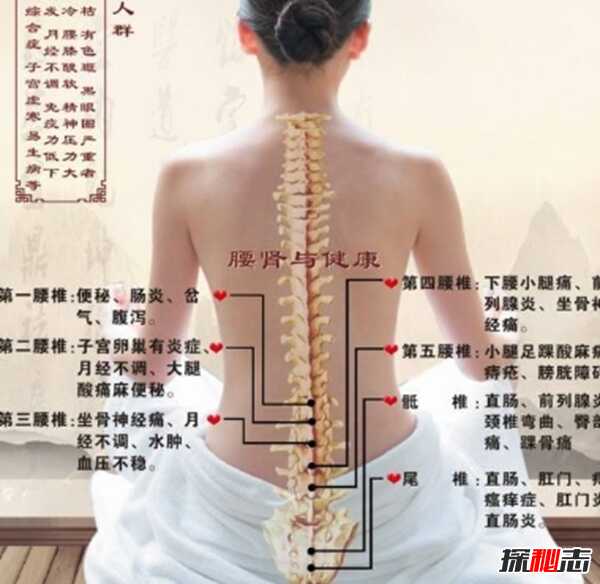 男人吃什么补身体?男人养肾最佳10食物