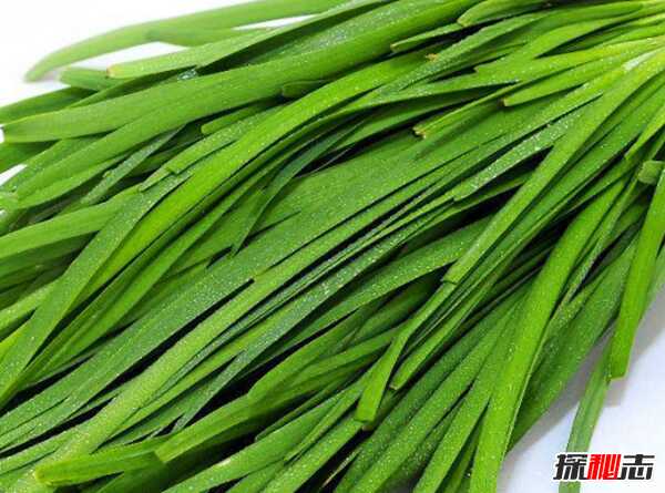 男人吃什么补身体?男人养肾最佳10食物