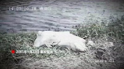 ​正义虽迟但到：南京警方破解23年前悬案，无名女尸终得昭雪