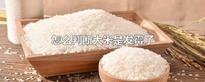 ​如何判断大米是否发霉 怎么判断大米是否发霉