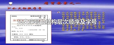 ​公文序号的结构层次顺序及字号