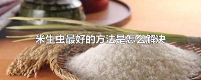 ​米生虫最好的方法是怎么解决