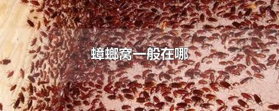 ​蟑螂窝一般在哪