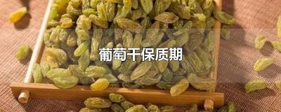 ​葡萄干保质期