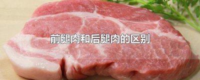​前腿肉和后腿肉的区别