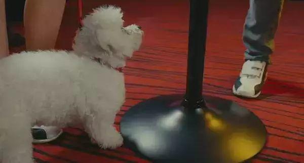 背着老婆和岳母偷情？如此羞耻也是没谁了