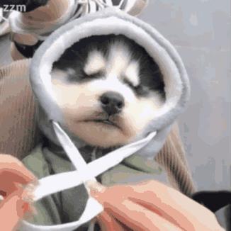 黑幕出演花样男子,具惠善可不是什么善男信女