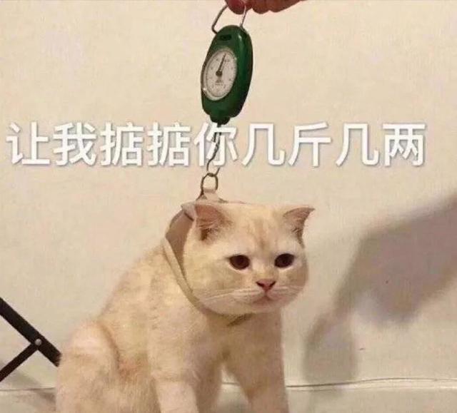 黑幕出演花样男子,具惠善可不是什么善男信女