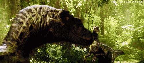 惊人发现！贵州发掘出比侏罗纪时期还早的贵州龙！