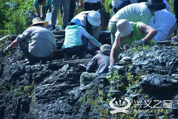 惊人发现！贵州发掘出比侏罗纪时期还早的贵州龙！
