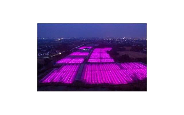 男人的喜欢会有什么表现? 男人的喜欢会有什么表现?