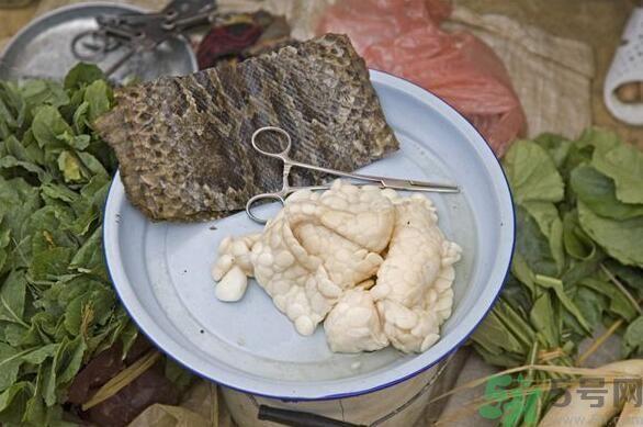 夏天吃蛇肉可以清火吗？夏天吃蛇肉可以降火吗？