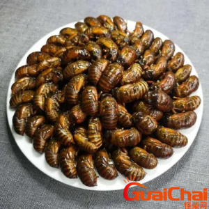 ​蝉蛹是什么？蝉蛹和蚕蛹的区别是什么？