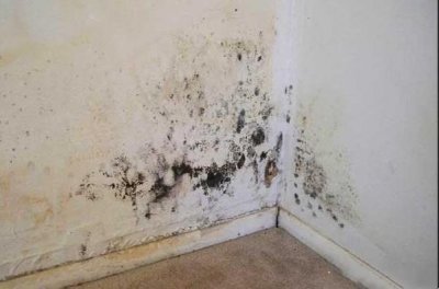 ​室内墙壁发霉怎么处理根治？室内墙面发霉处理方法？