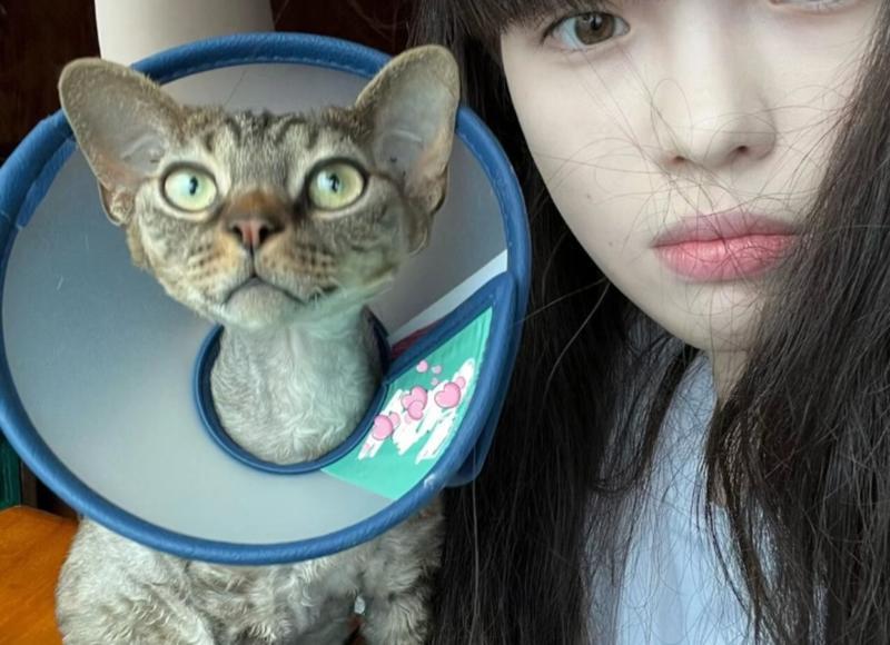 性爱口jiao的好处是什么 频繁口jiao有什么负面影响 性爱口jiao的好处是什么 频繁口jiao有什么负面影响