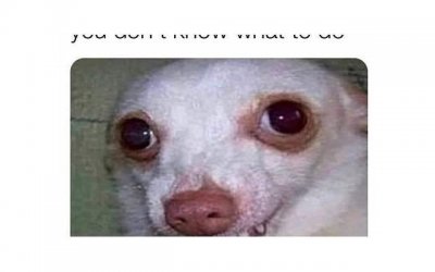 ​红颜知己和情人的区别在哪里？