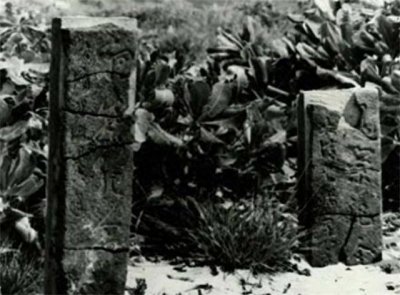 ​1974年专家在西沙意外发现2块清代石碑，彻底击碎越南的南海野心