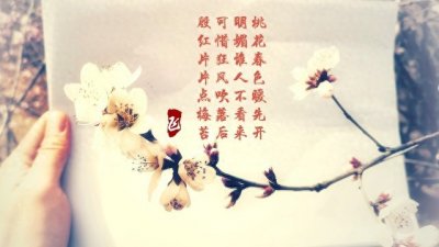 ​古诗词飞花令大全 V01004 主题字【一】 中国诗词大会诗词库集锦