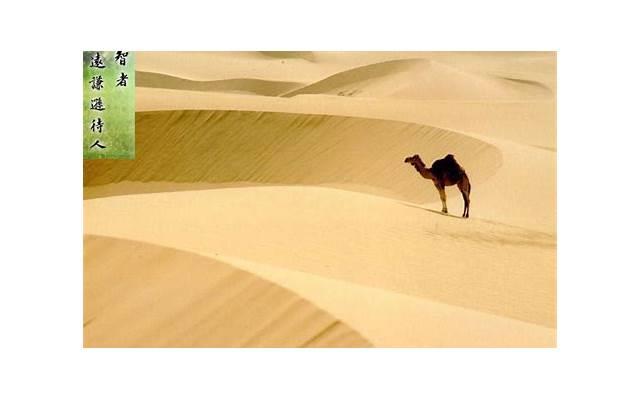 金牛男要离开的征兆，金牛男想离开你的征兆