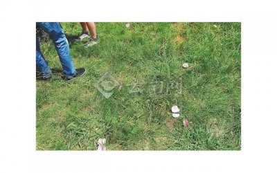 ​女孩子的安全感，有时只是三个字就可以得到的东西