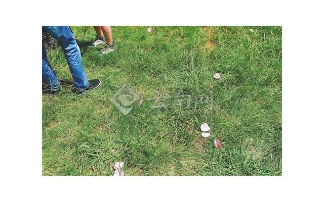 女孩子的安全感,有时只是三个字就可以得到的东西 女孩子的安全感,有时只是三个字就可以得到的东西