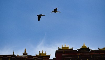 ​仓央嘉措的爱情绝唱