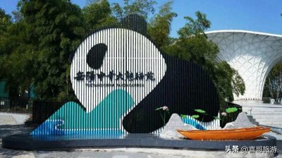 ​岳阳中华大熊猫苑：熊猫的欢乐家园与特色景区