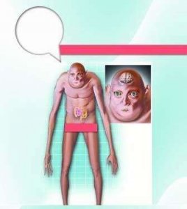 ​科学家推算出1000年后人类的长相