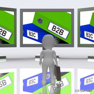 ​什么是＂有限＂公司