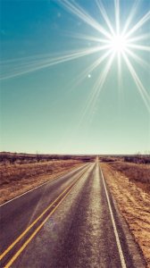 ​iPhone 6 壁纸推荐：身处水泥墙，内心却向往自然