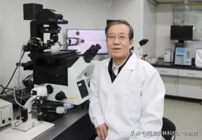 ​世界首例存活的克隆羊“阳阳”：健康存活16年，由陕西院士培育