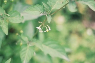 ​2019年立春具体时间几月几号几点 2019什么时间打春