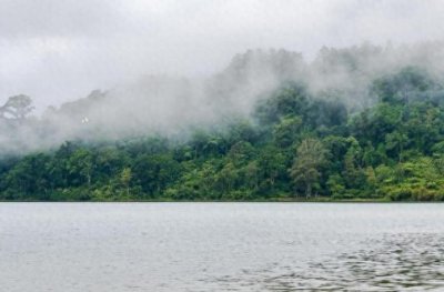 成都“热带雨林”刷屏！热带雨林到底是什么梗？