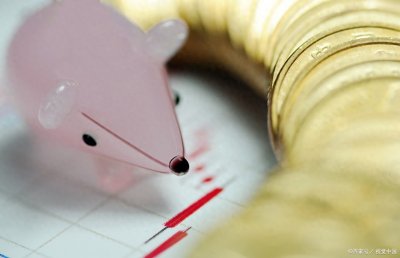 ​什么是老鼠仓？它是如何操作的？为什么对股市有这么大的危害？