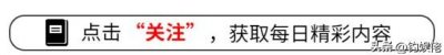 ​娶19岁金玲，认网红当干爹，如今心梗住院，孙小宝经历了什么？