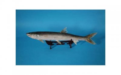 ​让他陷入到你的魅力中 如何反套路情场高手